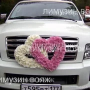 Компания по прокату лимузинов Вояж-лимузин фото 1 на сайте MoeOtradnoe.ru