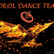 Спортивно-танцевальный клуб Сокол фото 5 на сайте MoeOtradnoe.ru