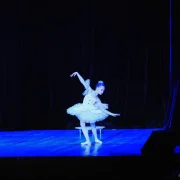 Школа танцев Danzart фото 2 на сайте MoeOtradnoe.ru