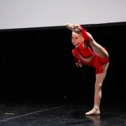 Школа танцев DanzArt фото 3 на сайте MoeOtradnoe.ru