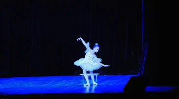 Школа танцев DanzArt фото 2 на сайте MoeOtradnoe.ru