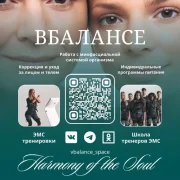 Школа тренеров ЭМС ВБАЛАНСЕ на Мироновской улице фото 2 на сайте MoeOtradnoe.ru