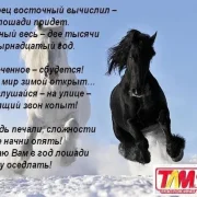 Автостоянка ТЛМ фото 2 на сайте MoeOtradnoe.ru