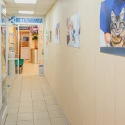 Ветеринарная клиника Веткруг фото 5 на сайте MoeOtradnoe.ru