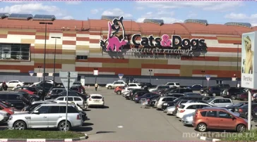 Зоомагазин Cats & Dogs  на сайте MoeOtradnoe.ru