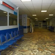 Детская городская поликлиника №110 в Отрадном фото 2 на сайте MoeOtradnoe.ru