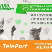 Автоматизированный пункт выдачи TelePort фото 6 на сайте MoeOtradnoe.ru