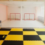 Бросковая зона для хоккеистов Щелчок фото 2 на сайте MoeOtradnoe.ru