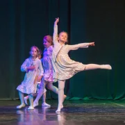 Школа танцев Tiger Hill фото 5 на сайте MoeOtradnoe.ru
