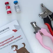 Ветеринарная клиника Хвостик фото 6 на сайте MoeOtradnoe.ru