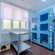 Ветеринарная клиника Хвостик фото 19 на сайте MoeOtradnoe.ru