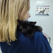 Ветеринарная клиника Хвостик фото 9 на сайте MoeOtradnoe.ru