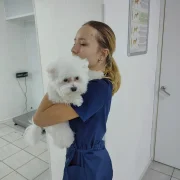 Ветеринарная клиника Хвостик фото 12 на сайте MoeOtradnoe.ru