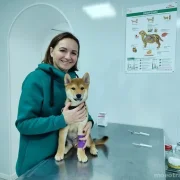 Ветеринарная клиника Хвостик фото 18 на сайте MoeOtradnoe.ru